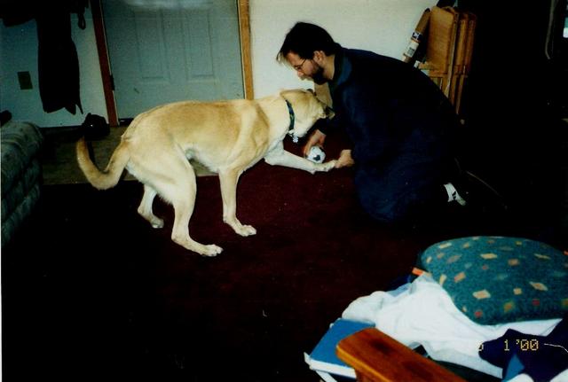 Bob and Kenai playing keep away.
