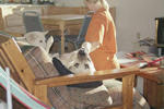 Spoiled Beans. Moose Mountain.