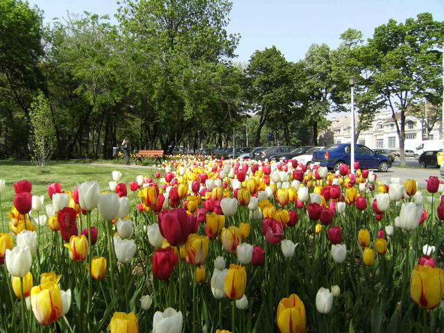 DSCF0320