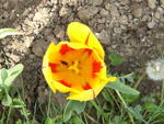 DSCF0321