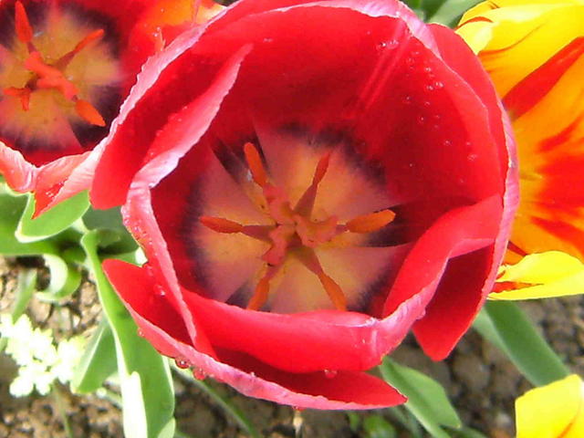 DSCF0322