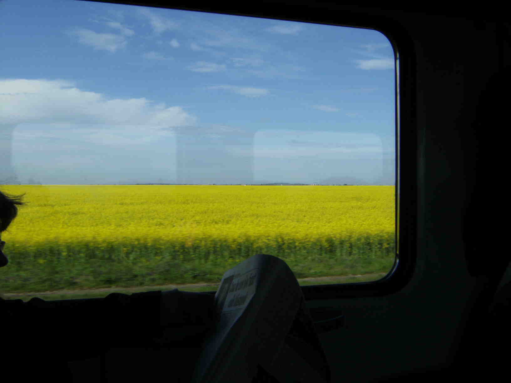 DSCF0329