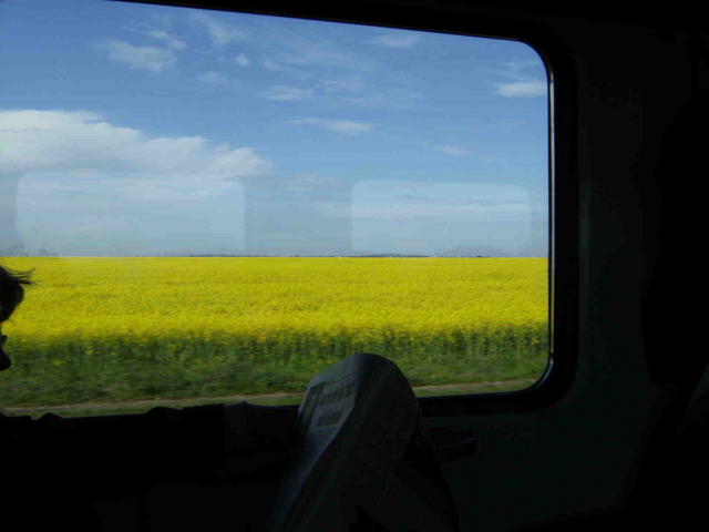 DSCF0329