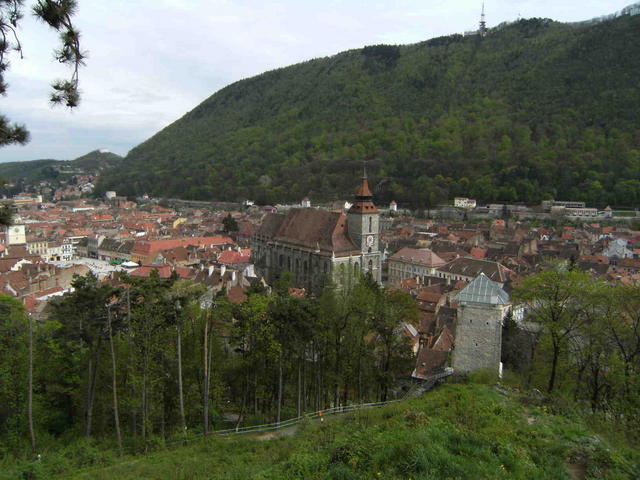 DSCF0351