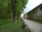 DSCF0355