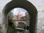 DSCF0356