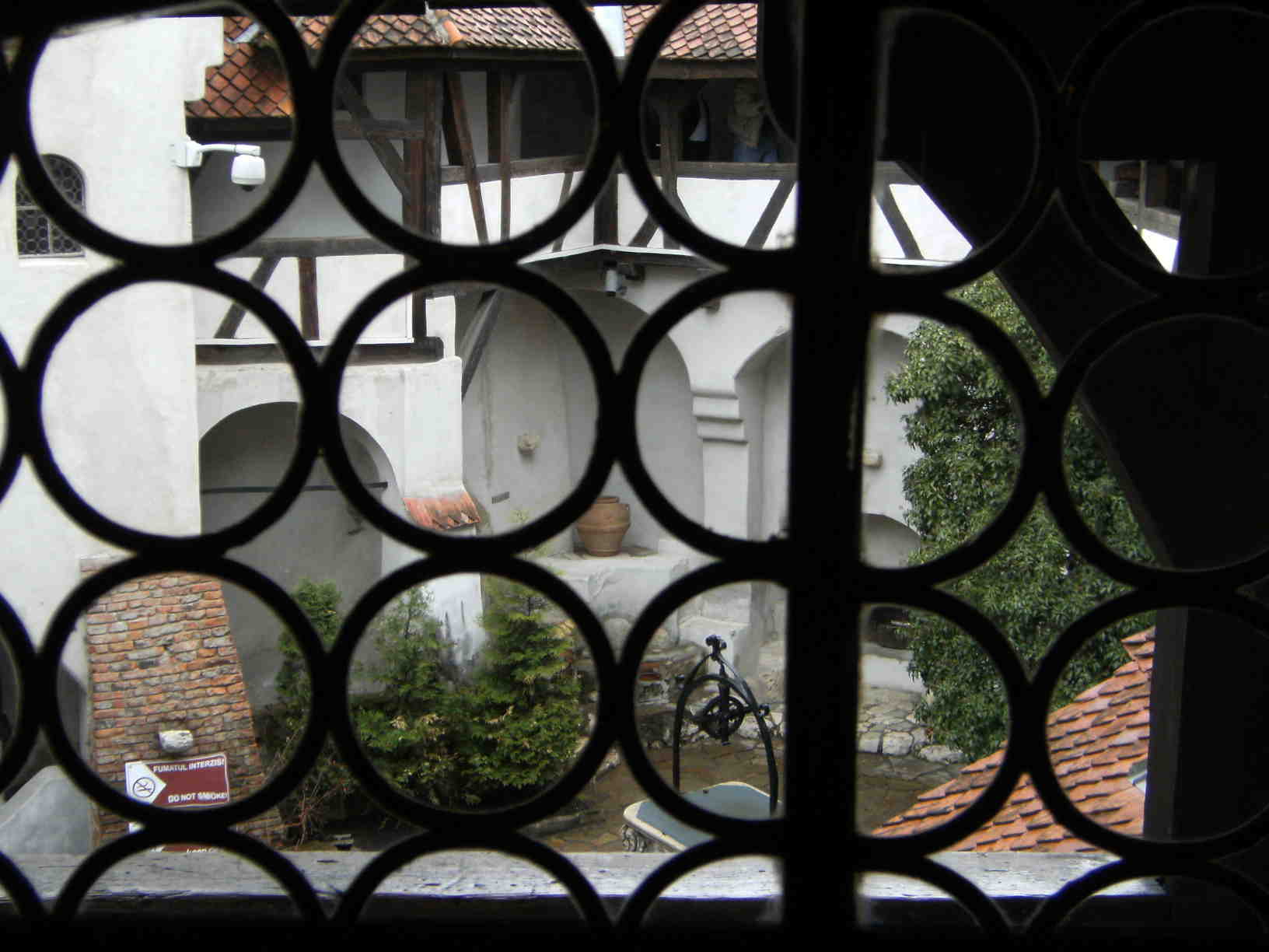 DSCF0420
