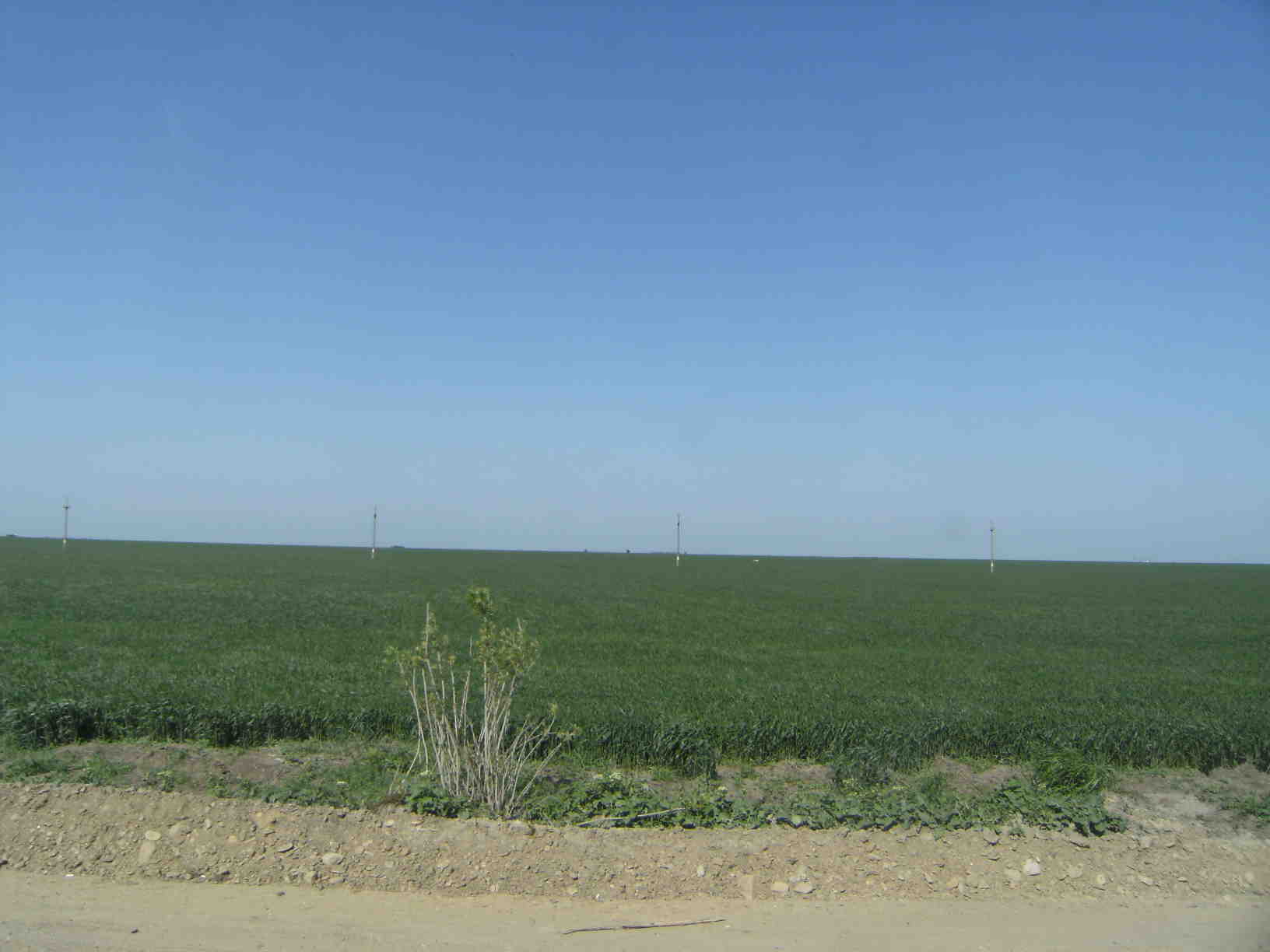 DSCF0436