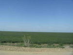 DSCF0436