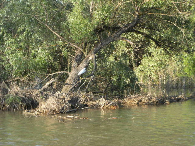 DSCF0466