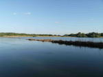 DSCF0470