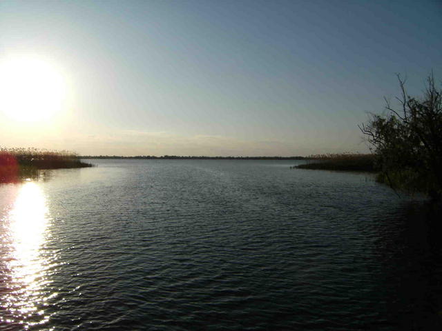 DSCF0484