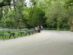 DSCF0497