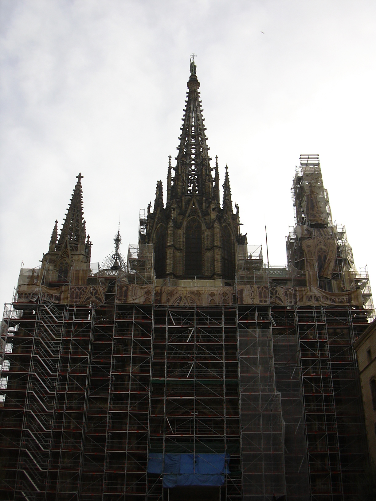 DSCN0634