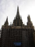 DSCN0634