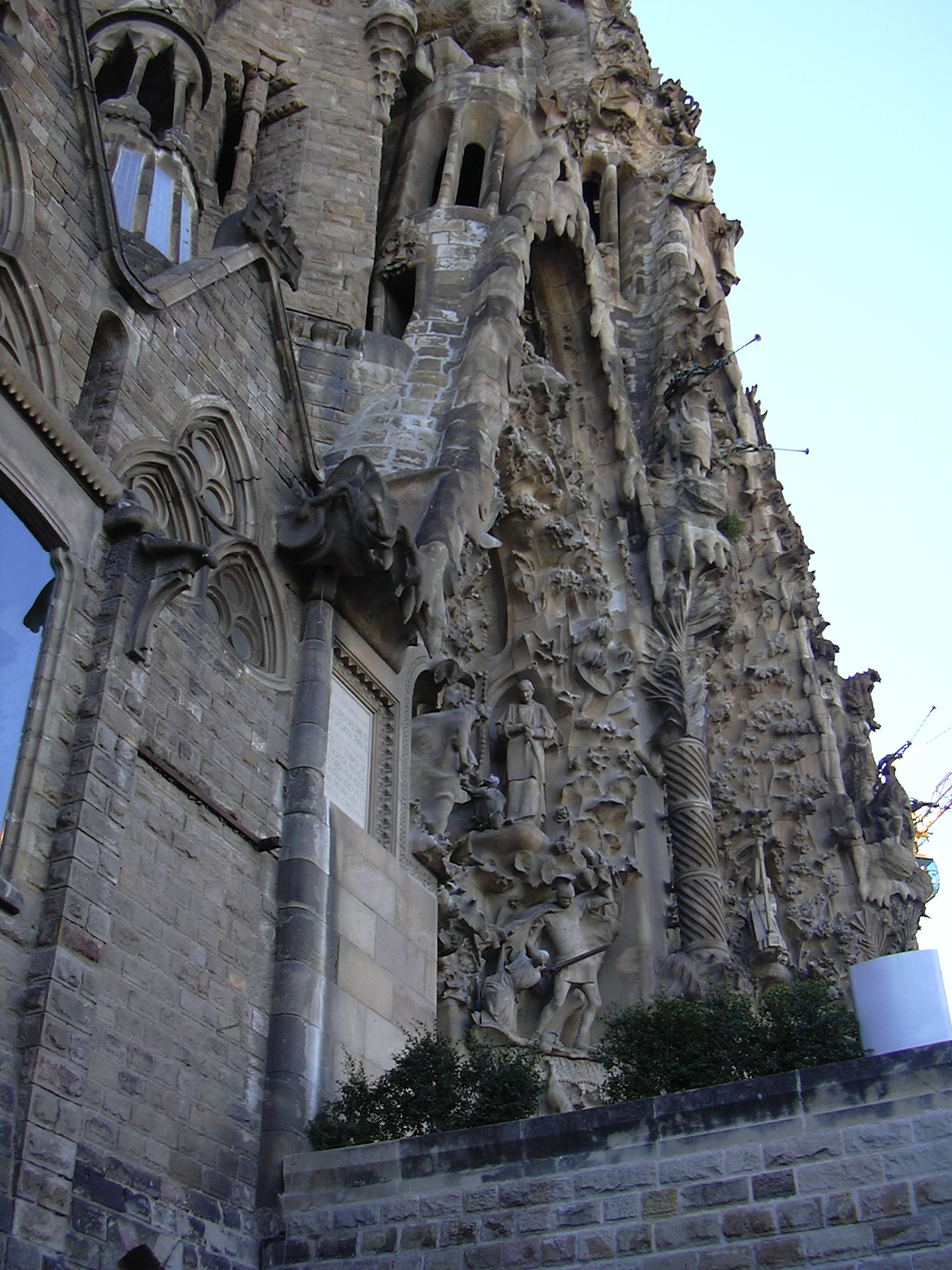 DSCN0701