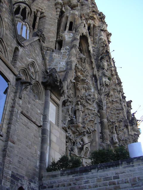 DSCN0701