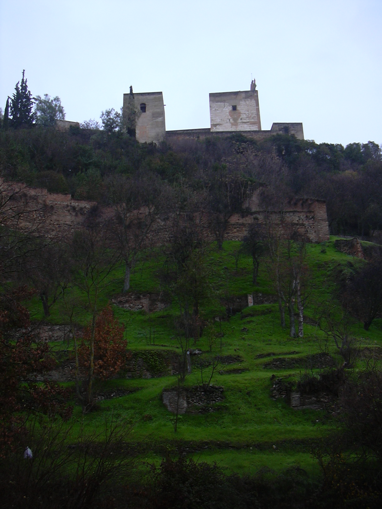 DSCN0761