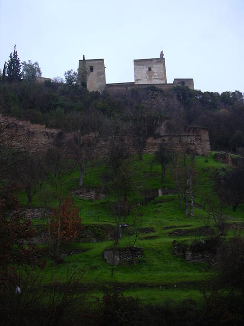 DSCN0761