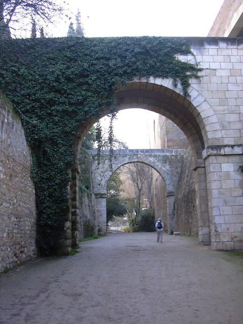 DSCN0764