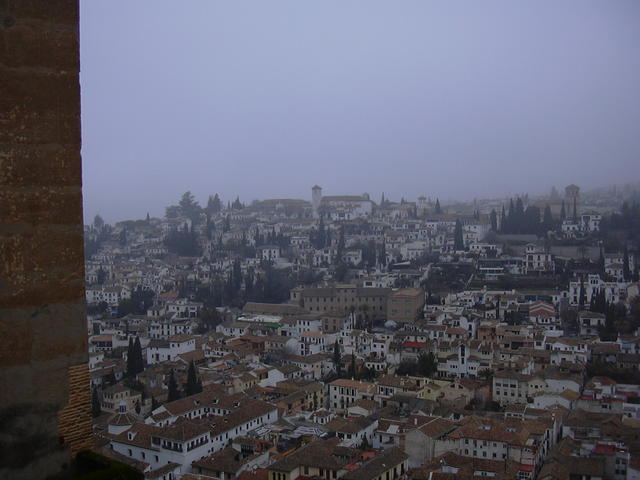 DSCN0781