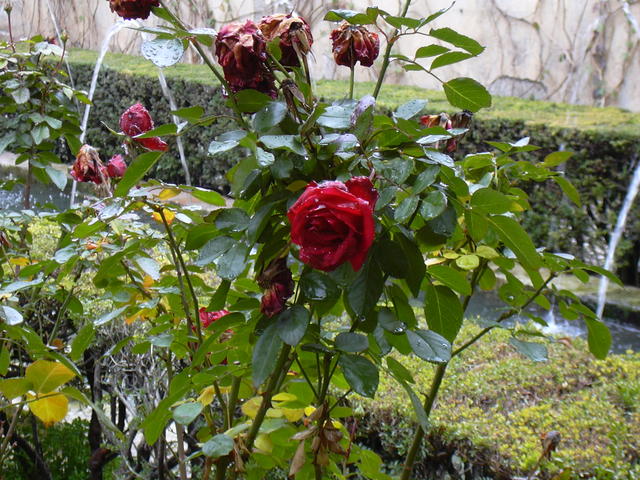 DSCN0799
