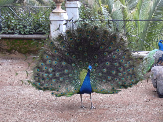 DSCN0827