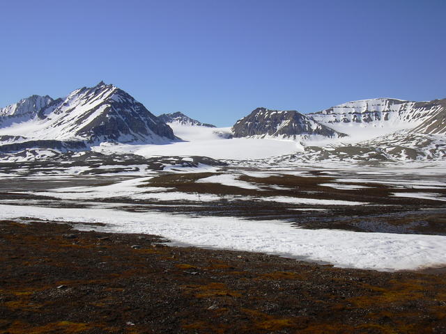 DSCN1295
