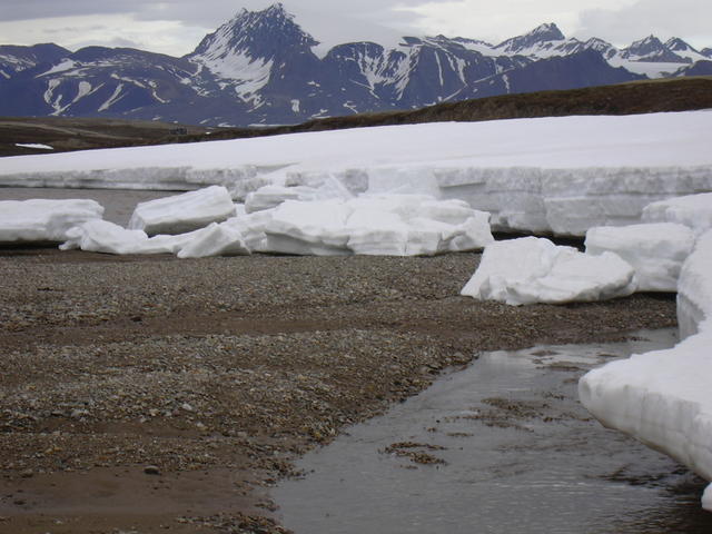 DSCN1316