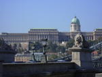 Lion on the Chain Bridge