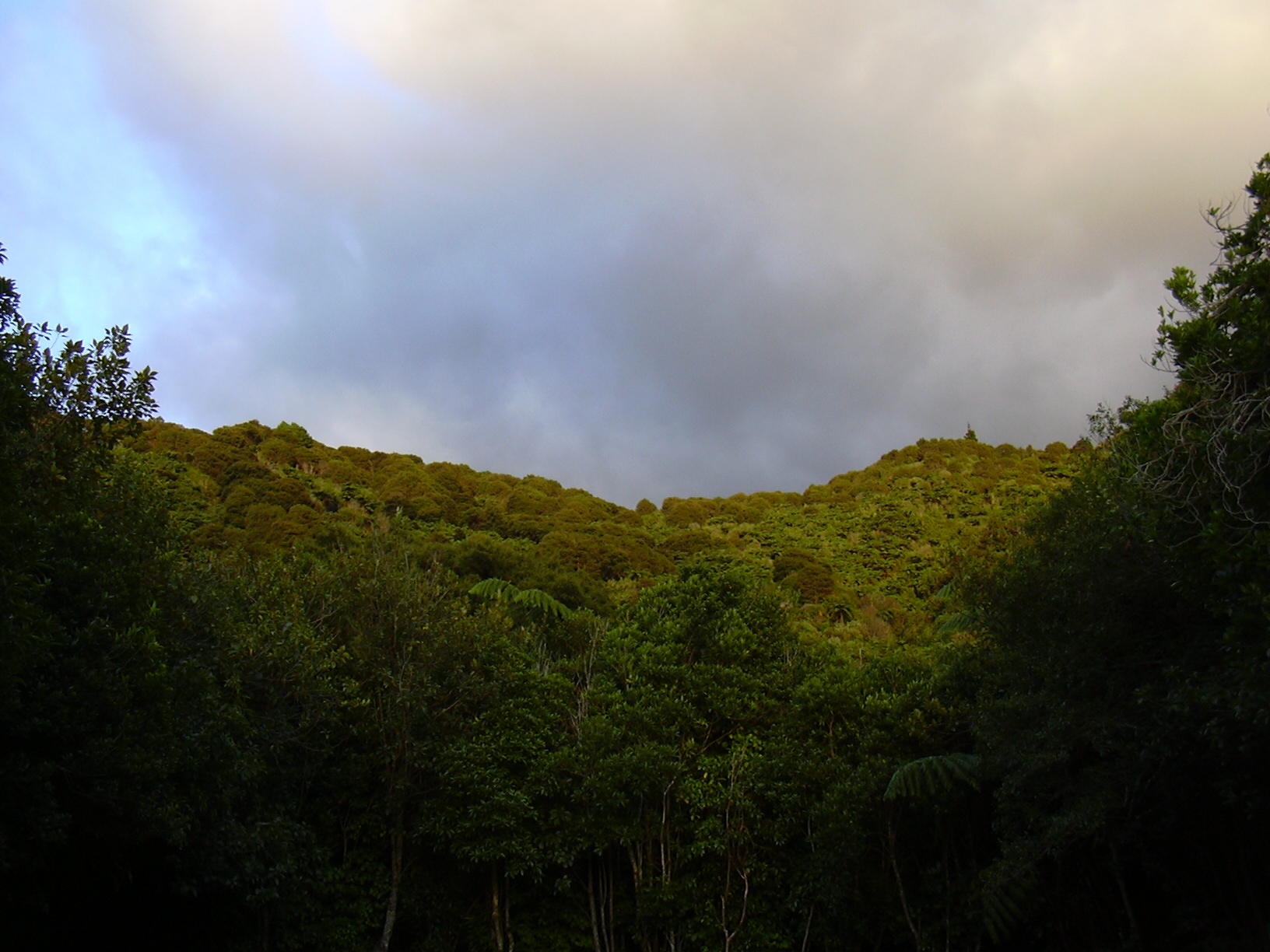 dscn0218