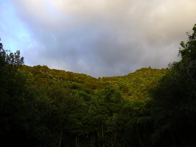 dscn0218