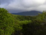 dscn0219