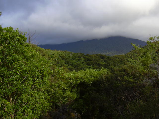 dscn0219