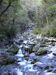 dscn0323