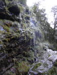 dscn0331
