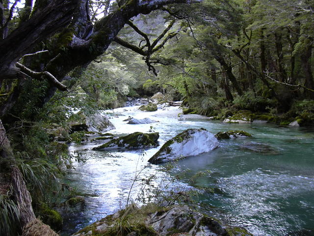 dscn0364