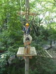 DSCF0657_a