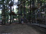 DSCF0660_a