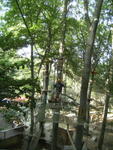 DSCF0663_a