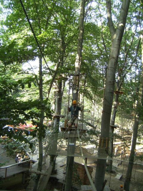 DSCF0663_a