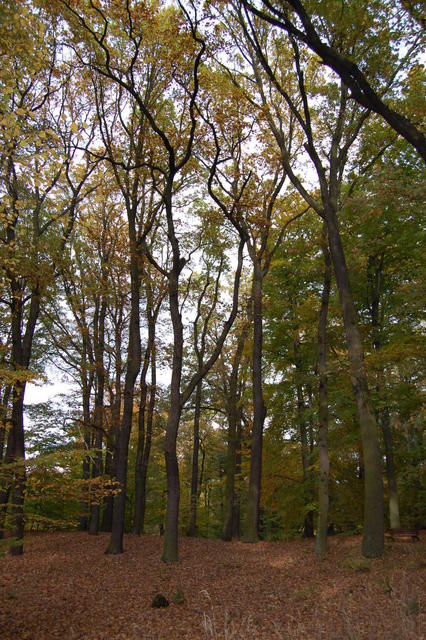DSC_0031