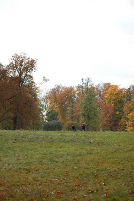 DSC_0046
