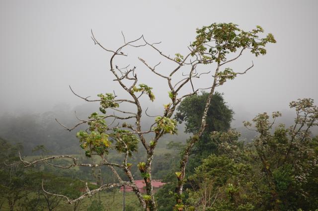 DSC_0608