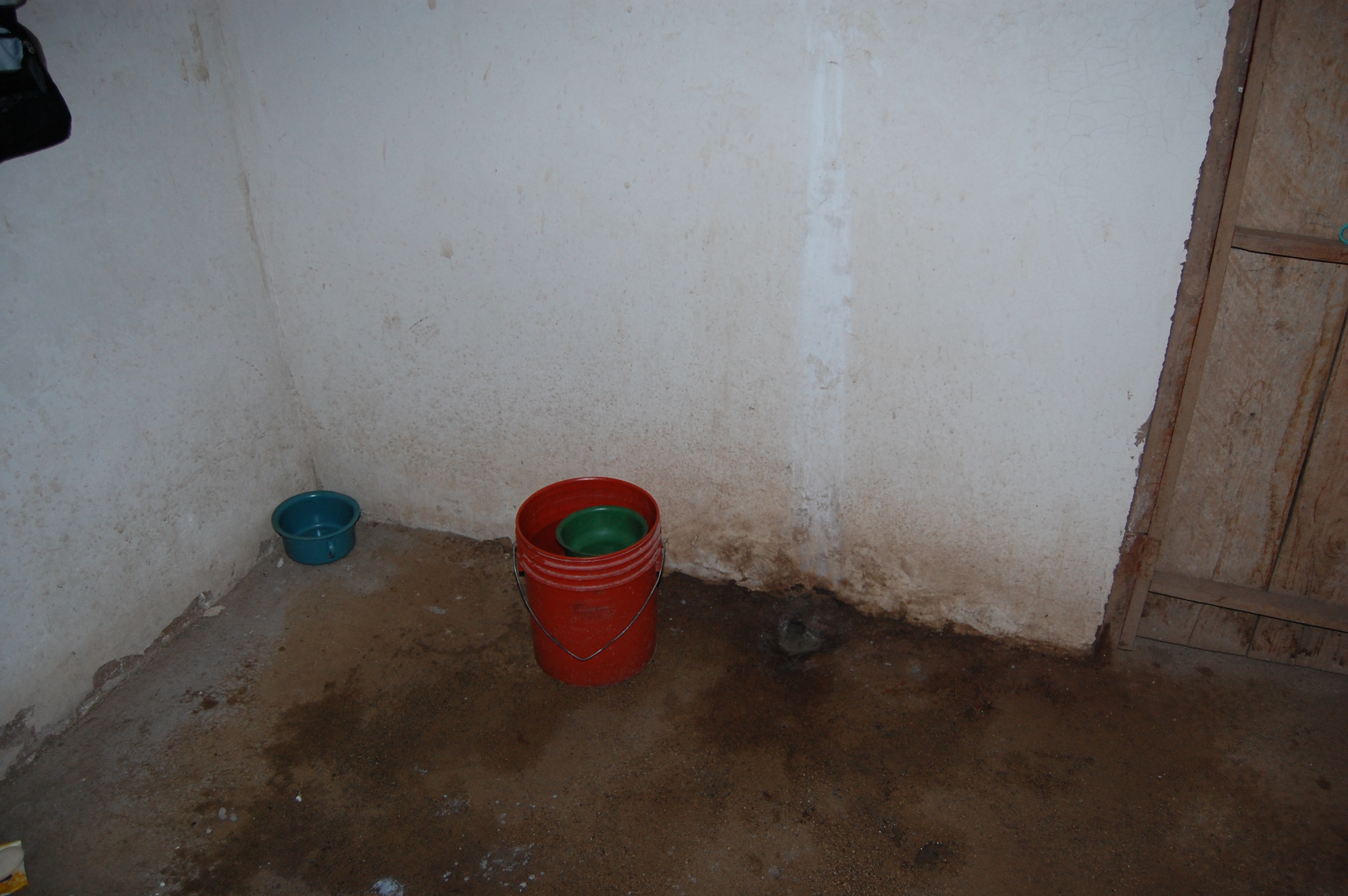 my shower and pee pot
