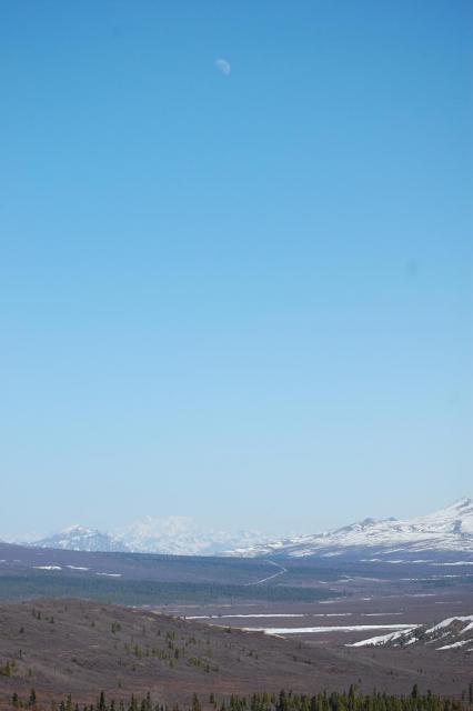 DSC_0018