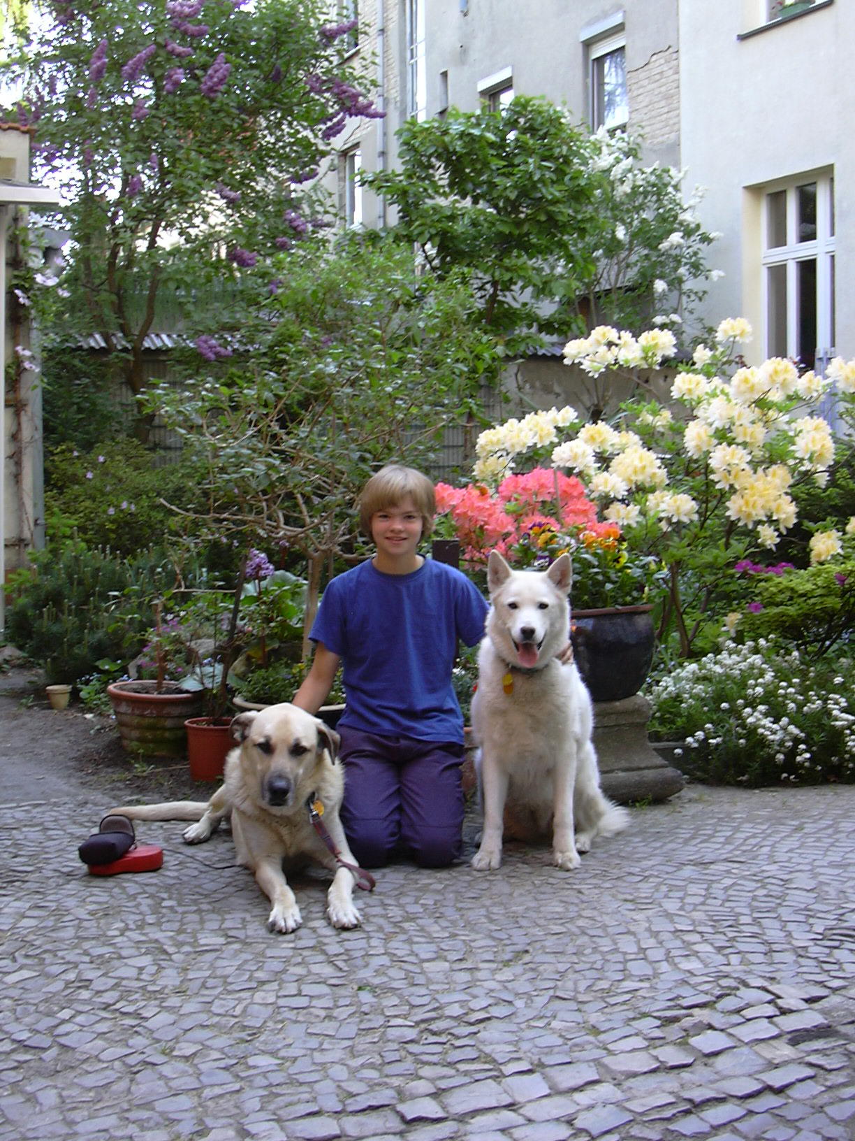 Kenai, Tabia, and Mytack. May 2007.  Last picture of Kenai.