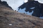DSC_0088