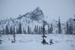 Misc. Rock Outcrop