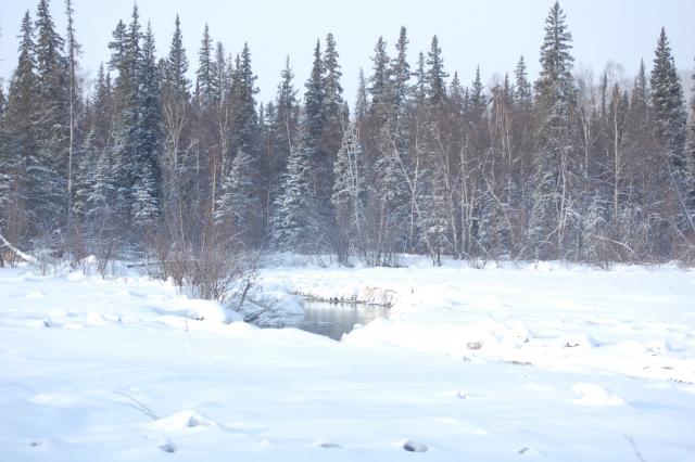 Camp site